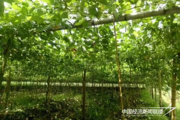 20231220  上杭蛟洋鎮(zhèn)蛟洋村4.jpg?v=1703071092