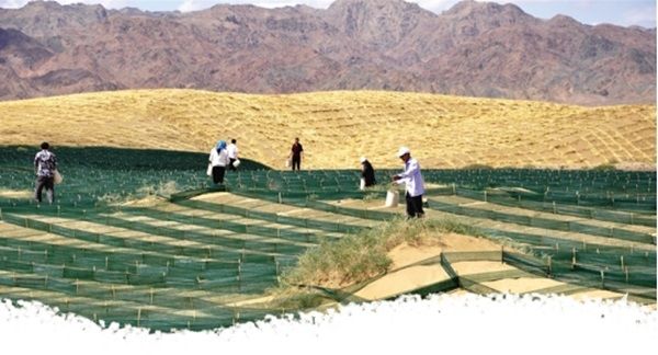 播撒綠色希望.jpg?v=1703081348