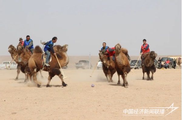 微信截圖_20231214132256.jpg?v=1703081348