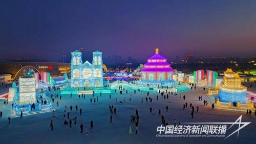 1703286612011069486.jpg?v=1703384577