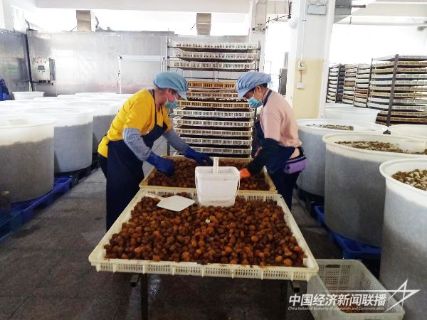 20231226  中經(jīng)聯(lián)播走進李果之鄉(xiāng)永泰順達食品2.jpg?v=1703601322