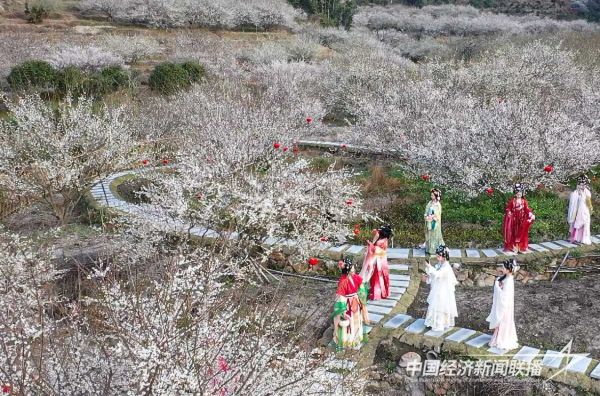 20231228  永泰李梅文化節(jié)2.jpg?v=1703752993