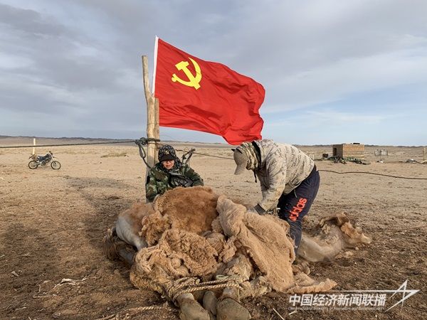 阿拉善盟額濟(jì)納旗馬鬃山蘇木志愿服務(wù)隊(duì)幫助牧民依勒勒?qǐng)D剪駝毛.jpg?v=1703828328