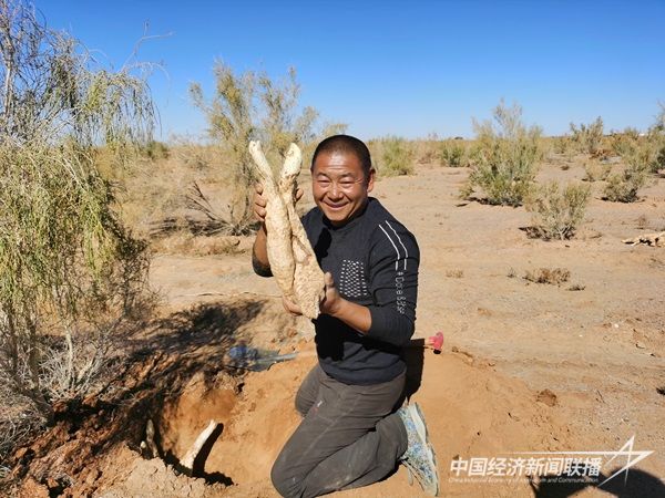 微信圖片_20211118183409.jpg?v=1703847167