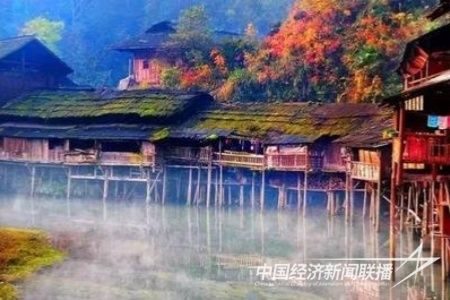 t01c6a38a8500f6f24d.jpg?v=1704458367