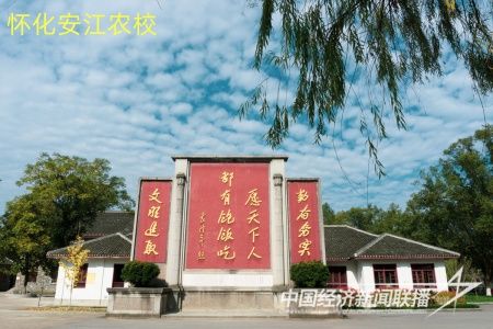 542754166.jpg?v=1705121330