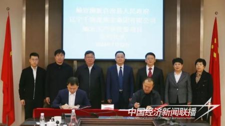 岫巖析木玉2).jpg?v=1705487995