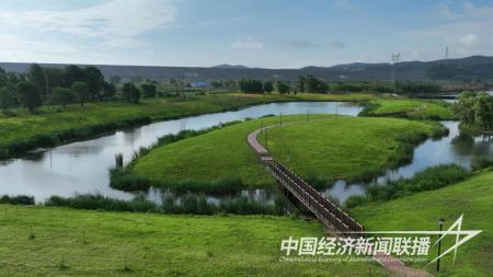 濕地公園.jpg?v=1705659902