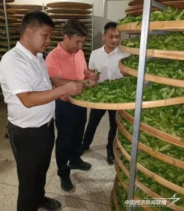 20240119  安溪林海城4.jpg?v=1705659342