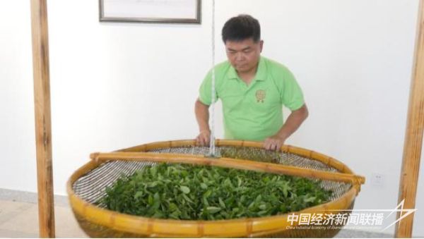 20240119  安溪林海城6.jpeg