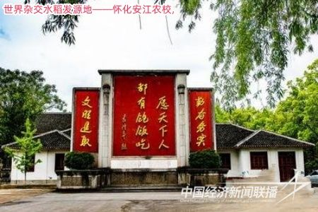 t01e92be9844479a9a6.jpg?v=1705771581