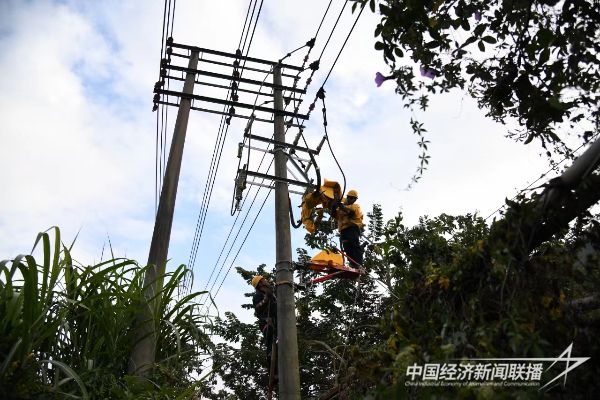 20240122  云霄供電：“小平臺”開辟帶電作業(yè)新方式1.jpeg