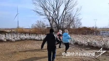 臺安大鵝3).jpg?v=1706606756