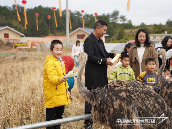 20240202上杭2_new (1).jpeg