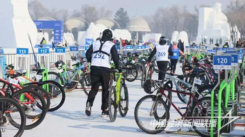 ab434312641ada884cc878ac22c5bae.jpg?v=1706961956