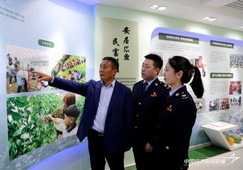 2.5.5.jpg?v=1707104196