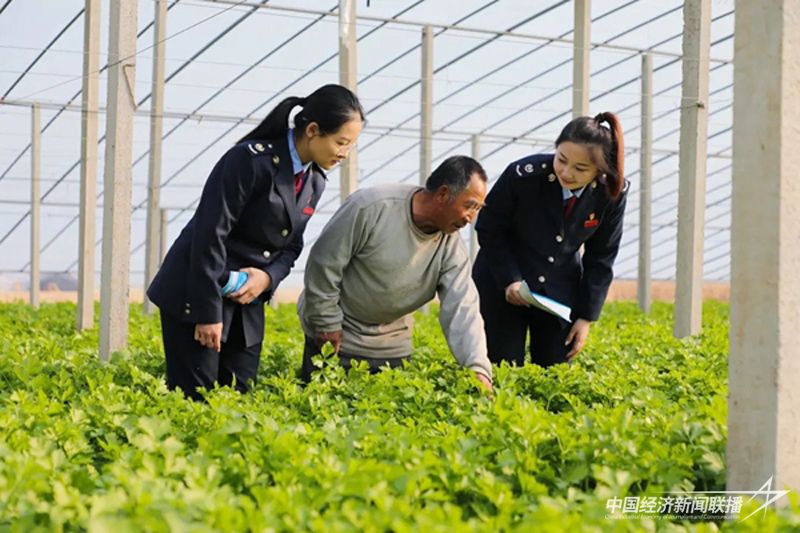 2.5.jpg?v=1707104196