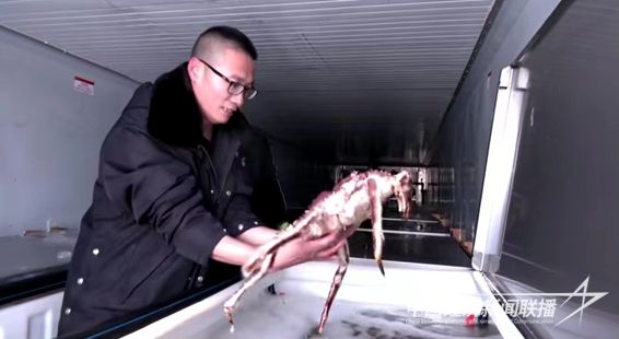 微信圖片_20240207100030.jpg?v=1707276128