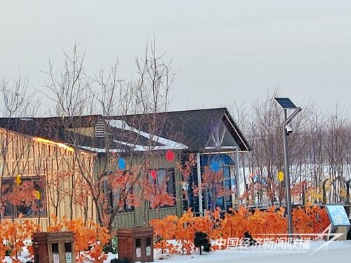 3653f735da82ee75d7fecccedf017d8.jpg?v=1707276799