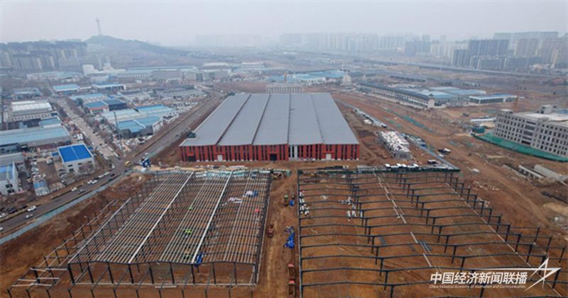 2.19.3.jpg?v=1708308096