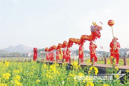 2月10日，一條長(zhǎng)龍游走在石城縣屏山鎮(zhèn)長(zhǎng)溪村的油菜花地.jpg?v=1708349014
