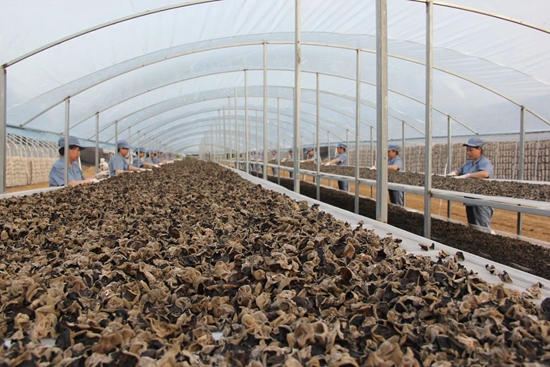 微信圖片_20240307230428.jpg?x-oss-process=style/water