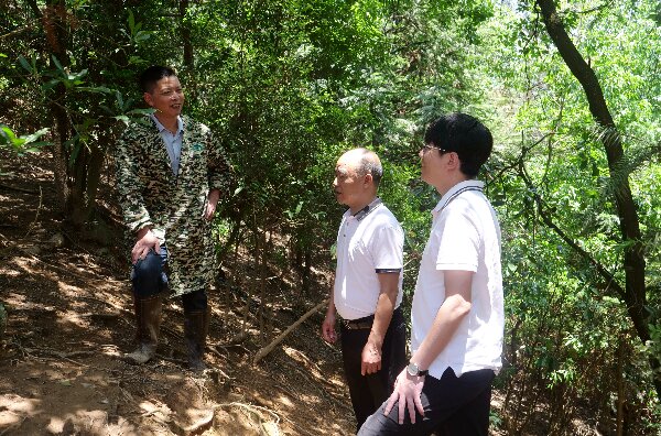 20240509  長?。狐h建引領(lǐng)河田雞產(chǎn)業(yè)高質(zhì)量發(fā)展4.jpeg?x-oss-process=style/water