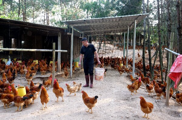 20240509  長?。狐h建引領(lǐng)河田雞產(chǎn)業(yè)高質(zhì)量發(fā)展5.jpeg?x-oss-process=style/water