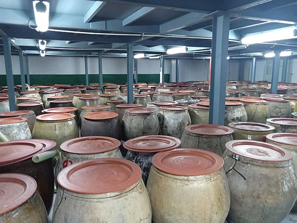 20240703  北辰山白酒文化節(jié)7.jpg?x-oss-process=style/water