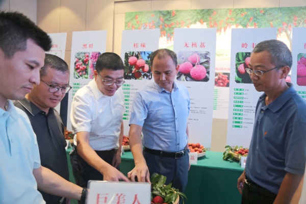 20240715漳浦3.jpg?x-oss-process=style/water