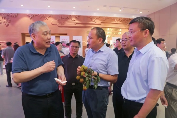 20240715漳浦2.jpg?x-oss-process=style/water