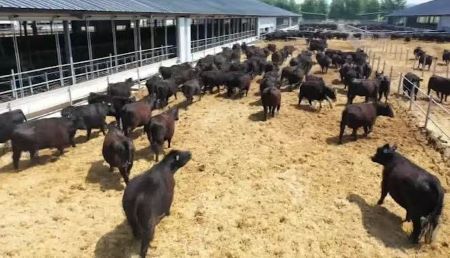 12.jpg?x-oss-process=style/water