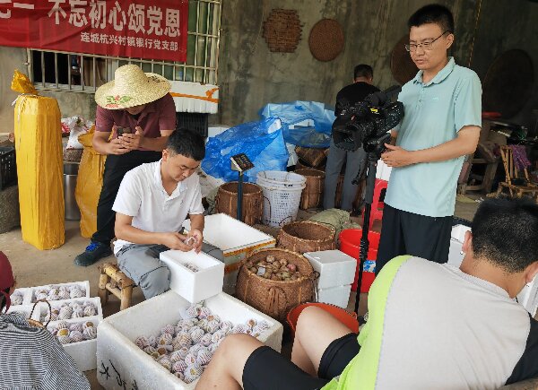 20240726連城4.jpg?x-oss-process=style/water