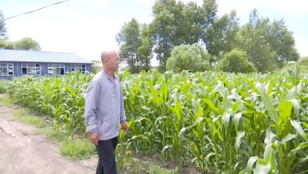 11.jpg?x-oss-process=style/water