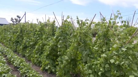 12.jpg?x-oss-process=style/water