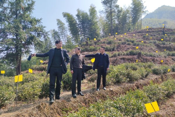 圖片7.jpg?x-oss-process=style/water