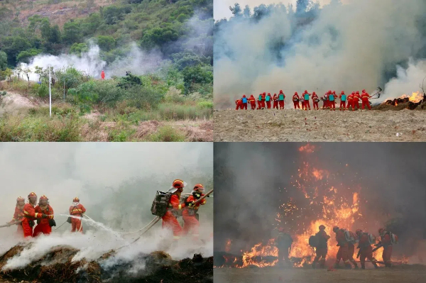 20241114  “綠盾-2024”廈門(mén)市森林防滅火綜合演練圓滿舉行5 (1).jpg?x-oss-process=style/water
