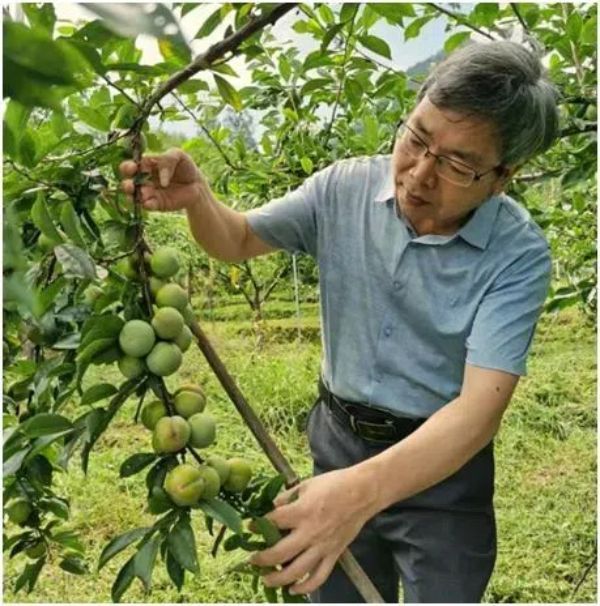 20241118  《日落日出》 走近鄉(xiāng)村讀懂農(nóng)民1.jpg?x-oss-process=style/water