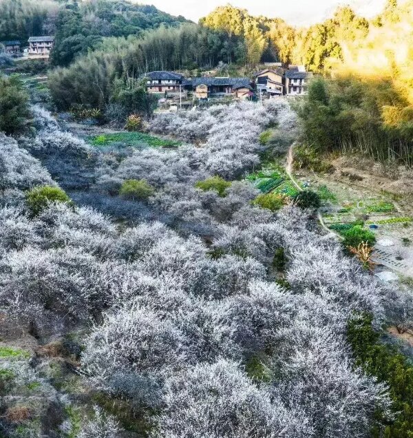 20241118  《日落日出》 走近鄉(xiāng)村讀懂農(nóng)民3.jpg?x-oss-process=style/water