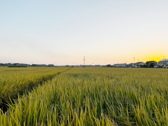 1.jpg?x-oss-process=style/water