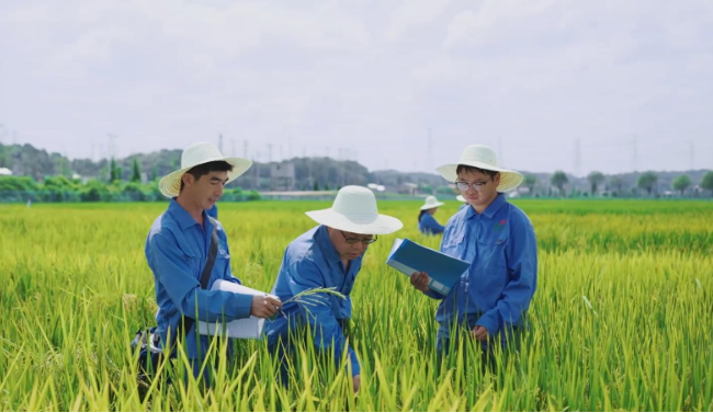 2.jpg?x-oss-process=style/water