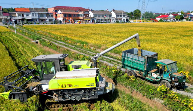 4.jpg?x-oss-process=style/water