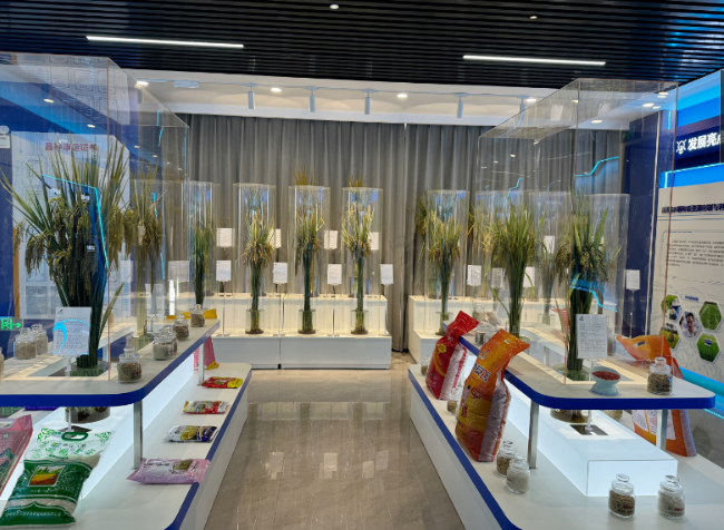 3.jpg?x-oss-process=style/water