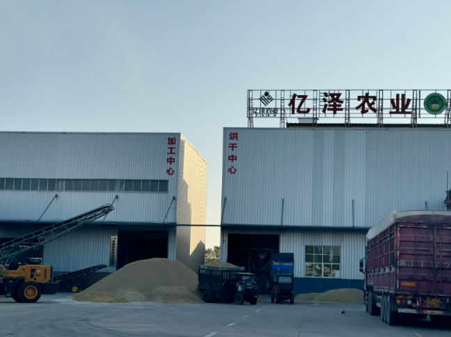 5.jpg?x-oss-process=style/water