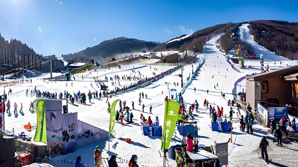 1.jpg?x-oss-process=style/water